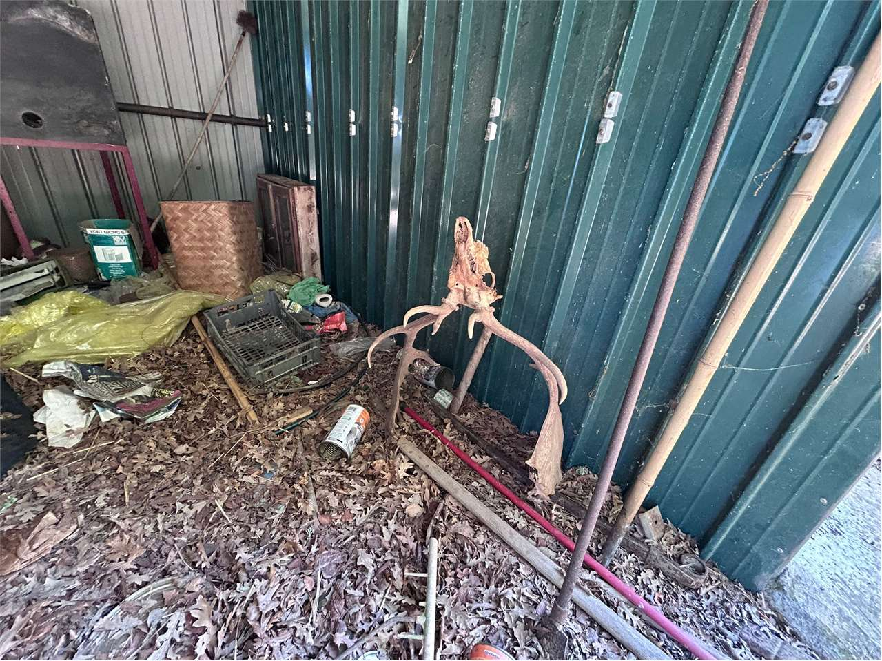 immagine annuncio 7 di 10