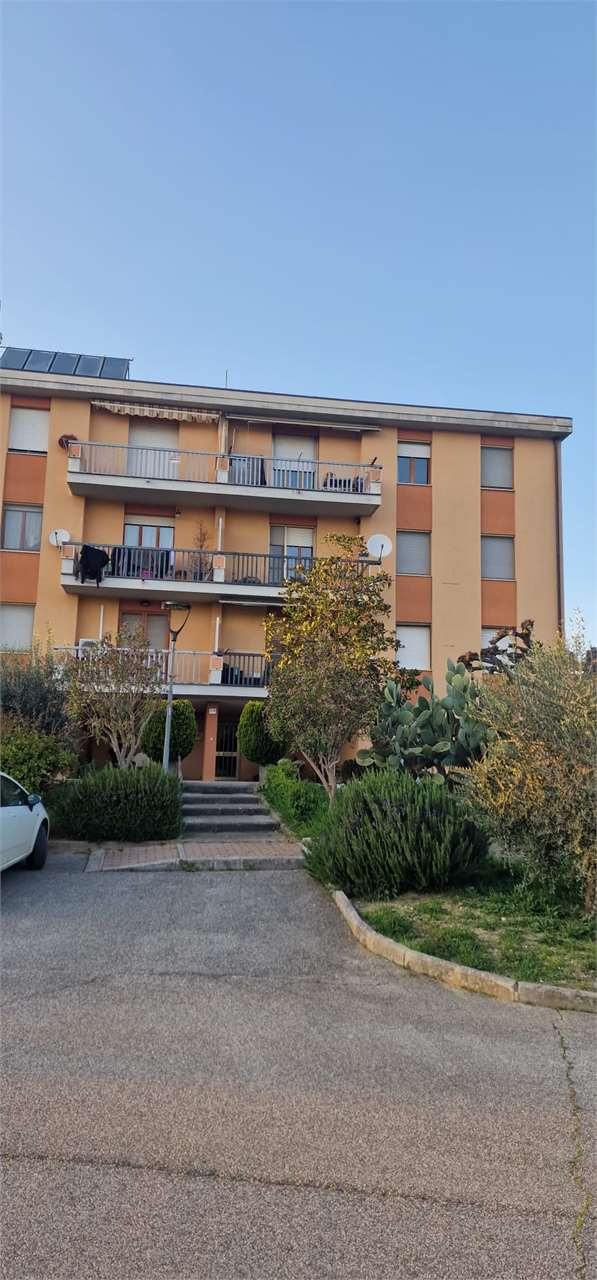 immagine annuncio 9 di 10