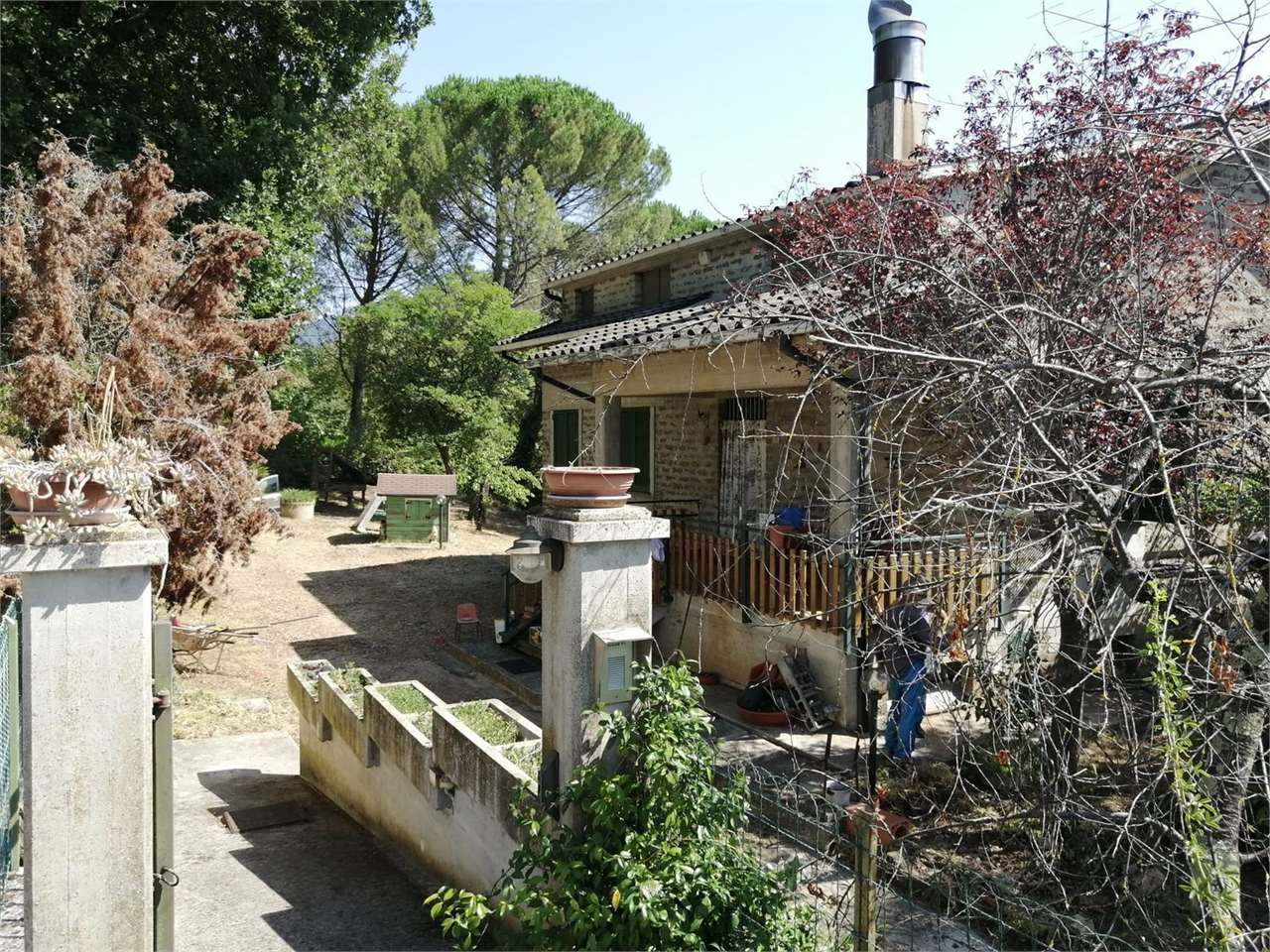 immagine annuncio 7 di 10