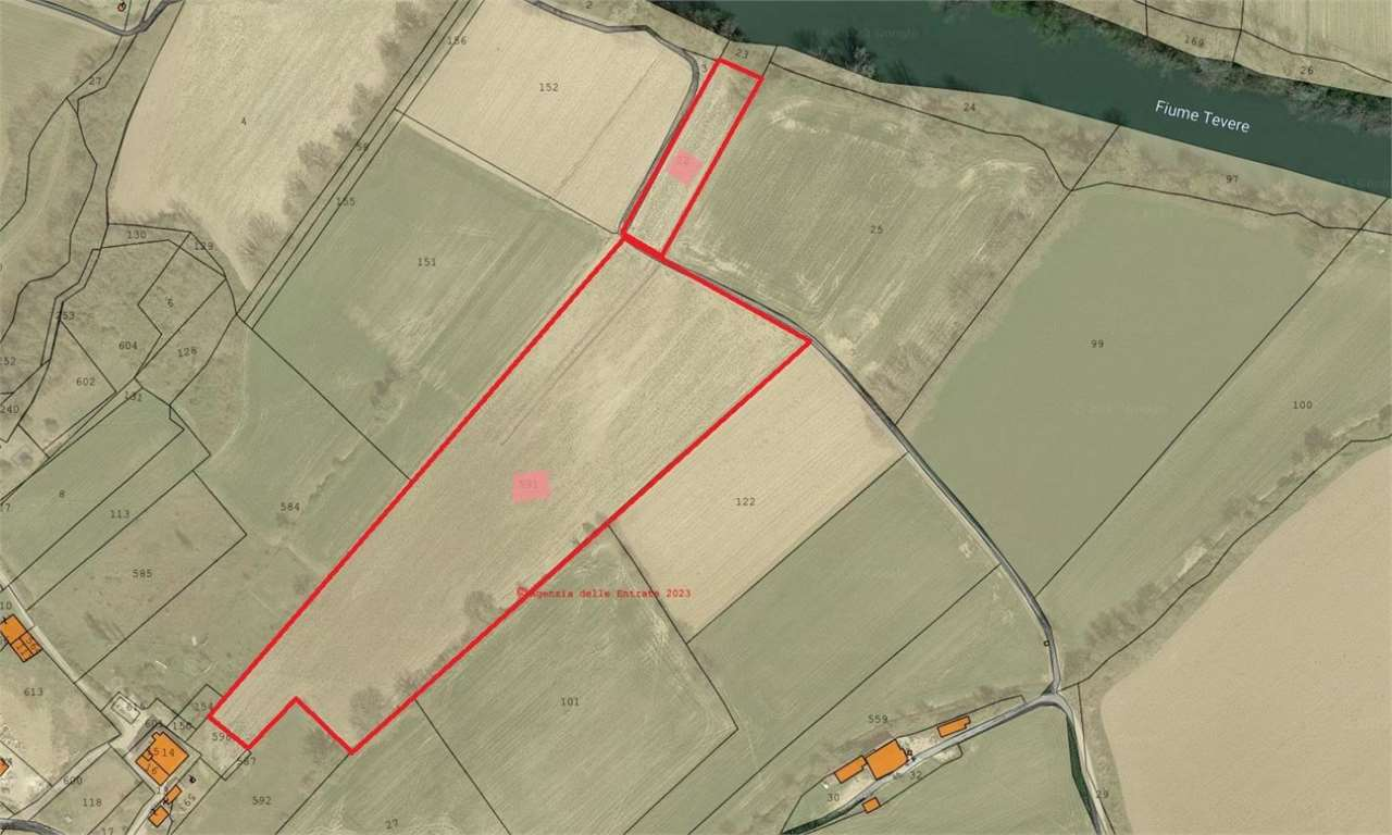 immagine annuncio 3 di 6