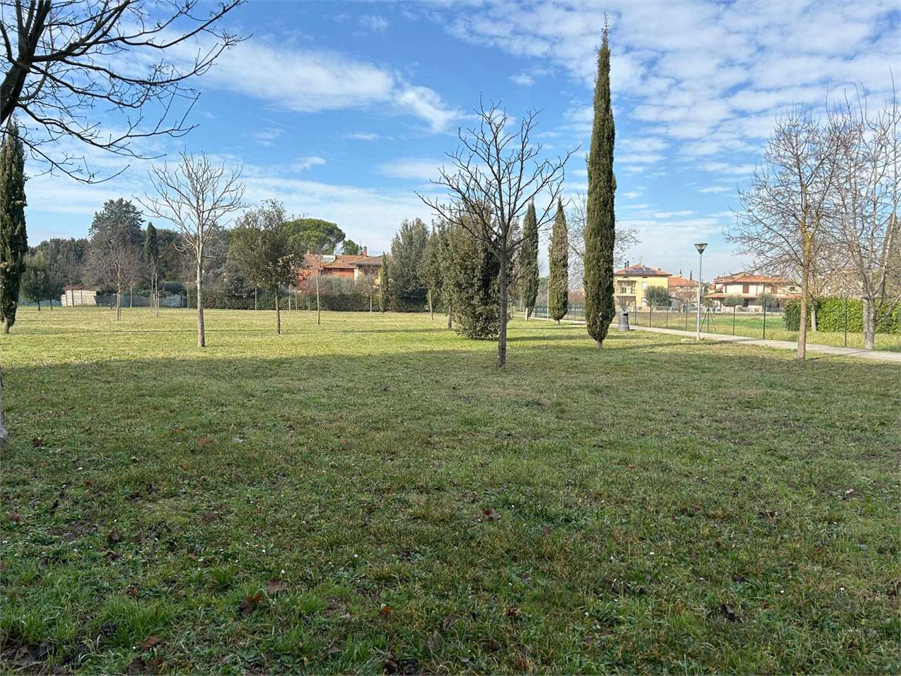 immagine annuncio 4 di 6