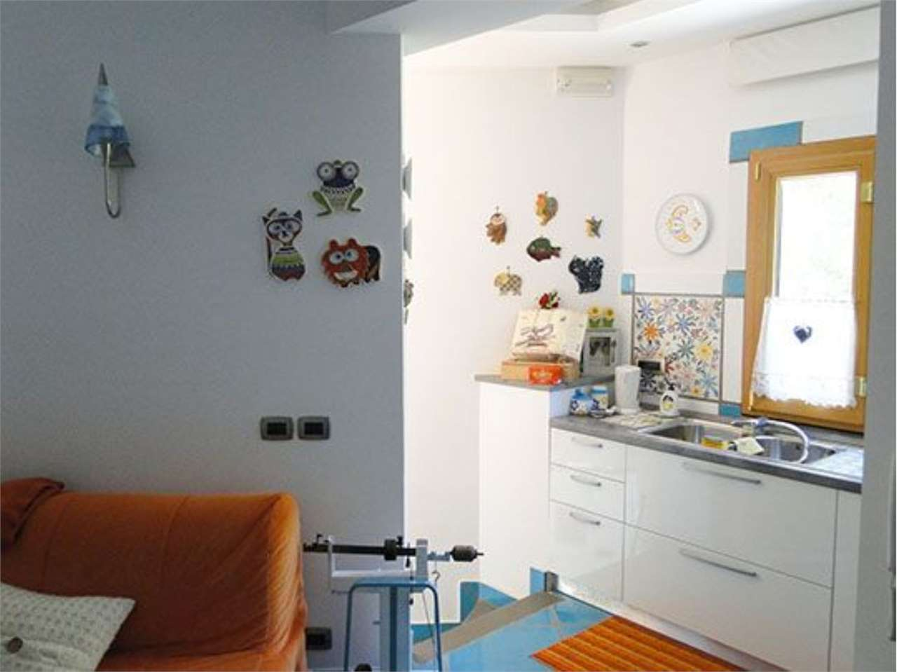 immagine annuncio 5 di 10