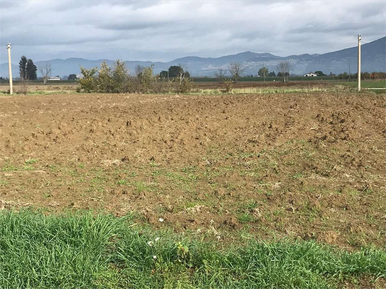 immagine annuncio 4 di 7