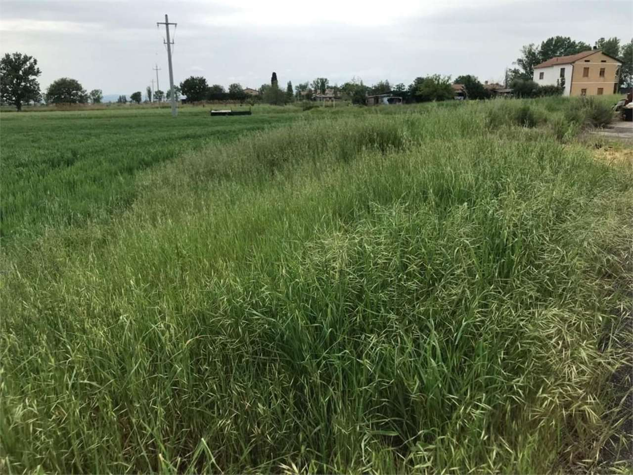 immagine annuncio 6 di 7