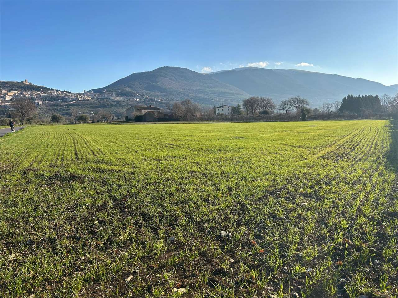 immagine annuncio 1 di 6