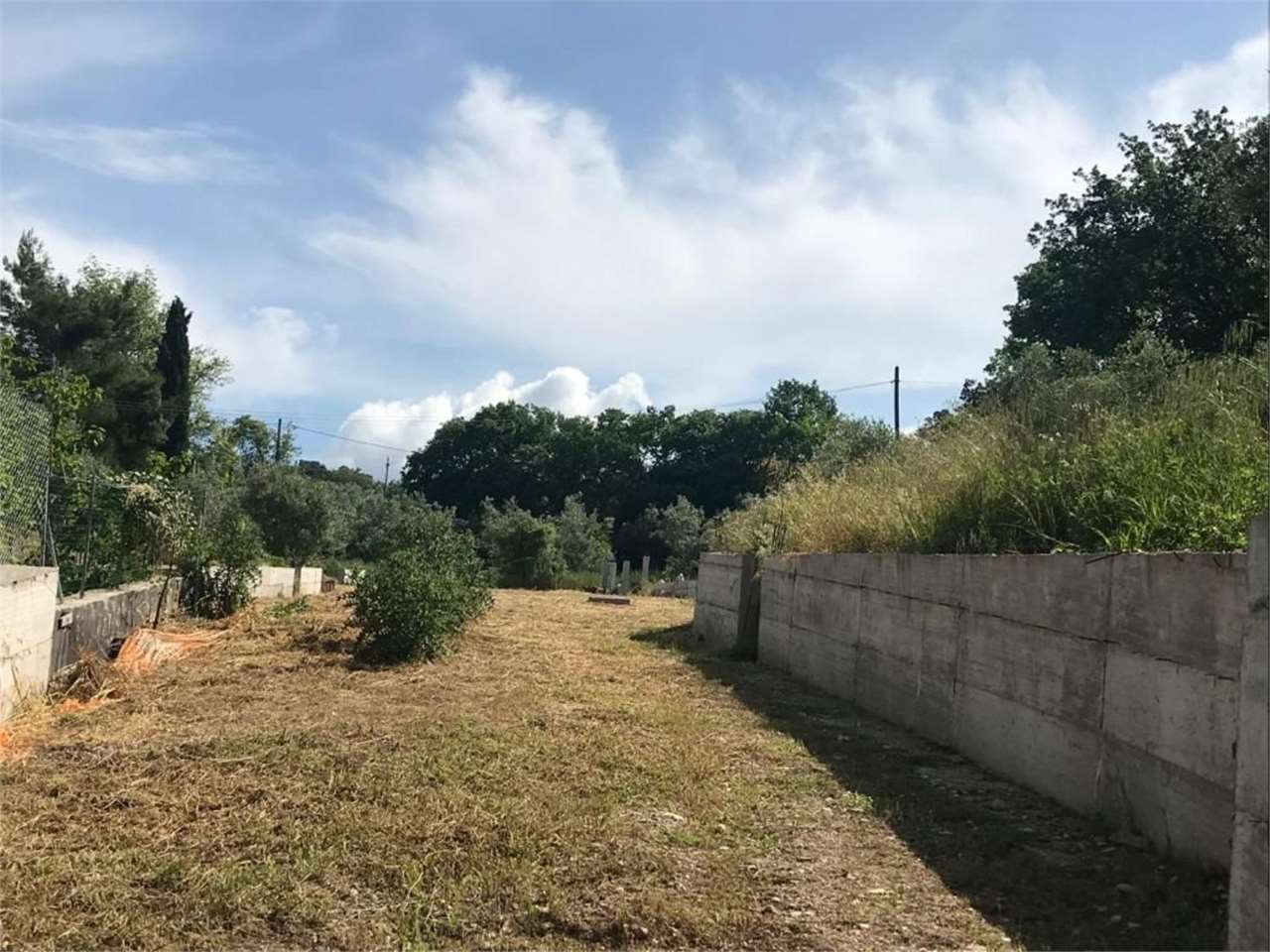 immagine annuncio 1 di 7