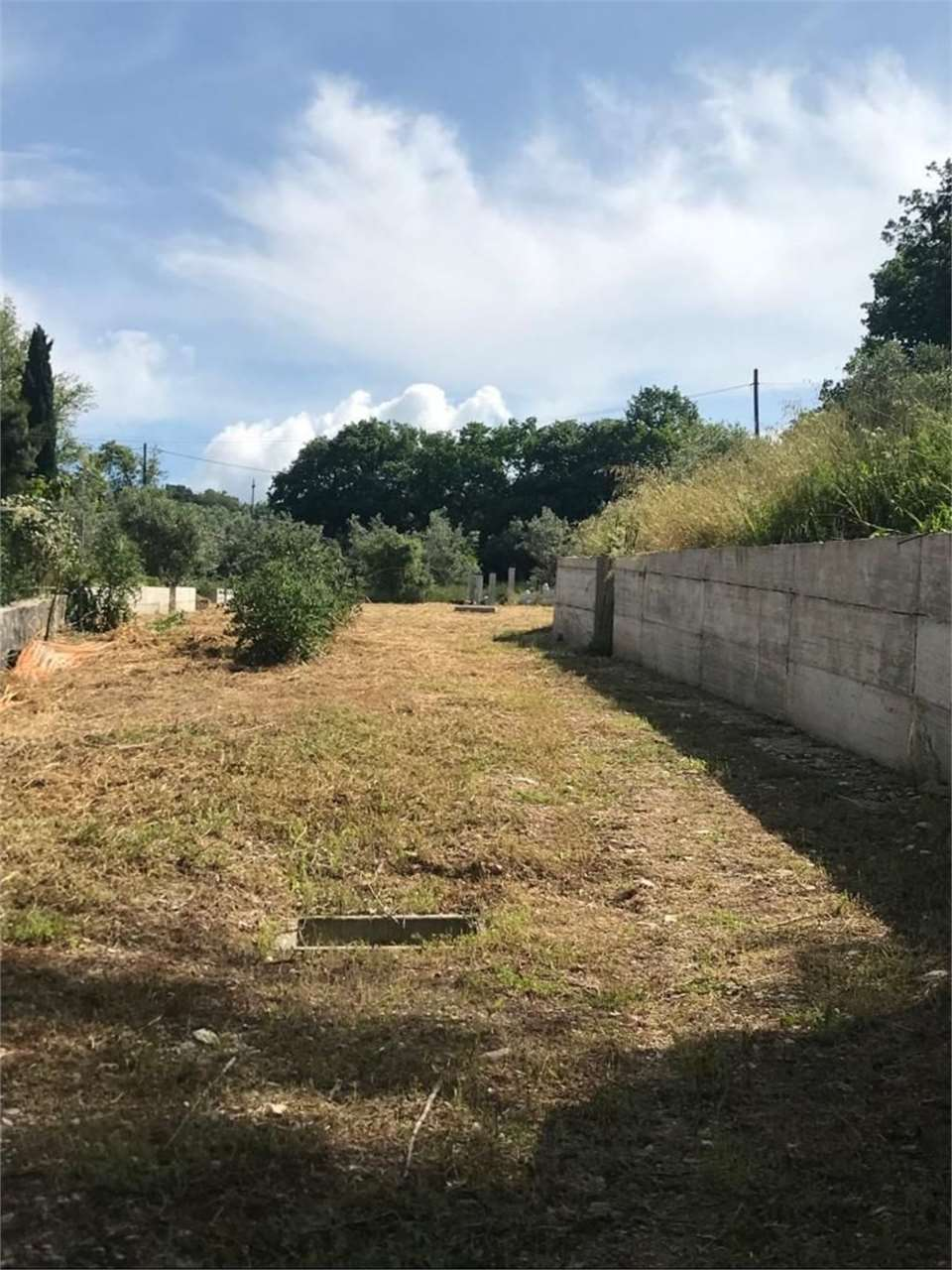 immagine annuncio 2 di 7