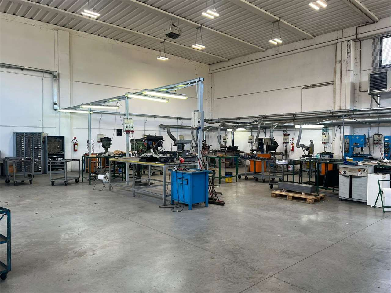 immagine annuncio 4 di 10