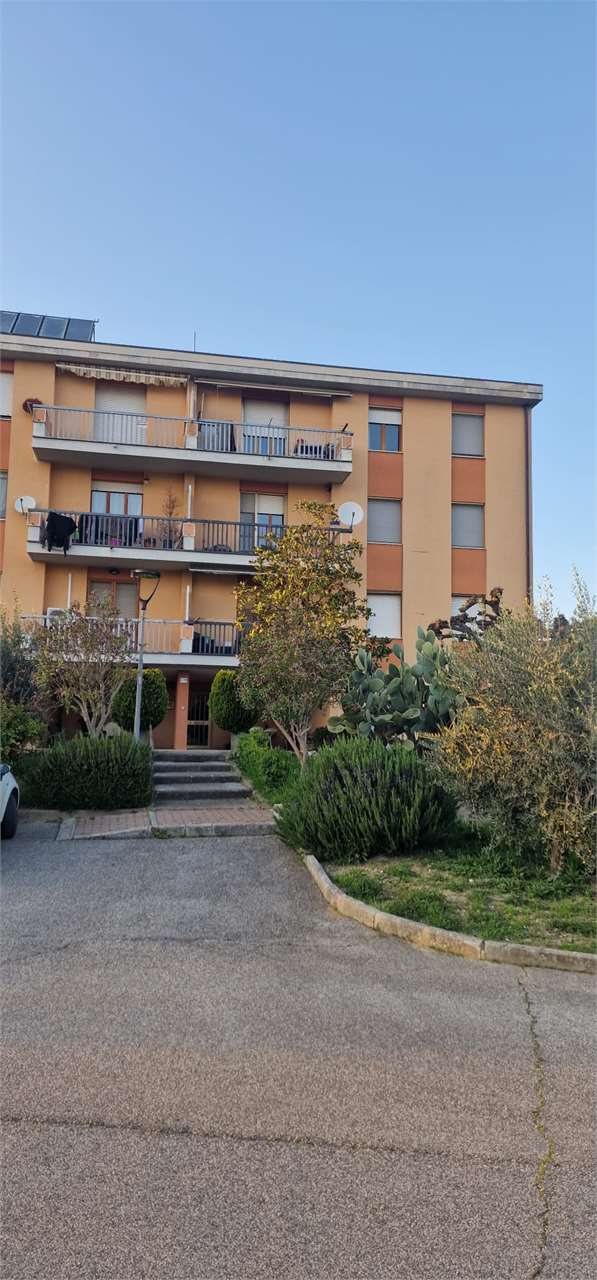 immagine annuncio 4 di 10