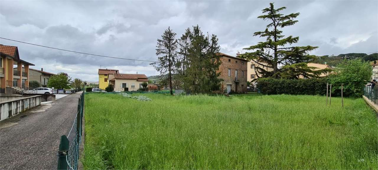 immagine annuncio 6 di 7