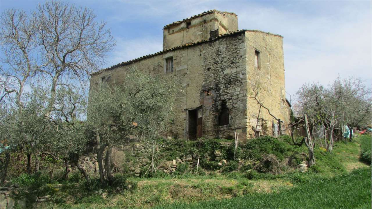 immagine annuncio 6 di 10