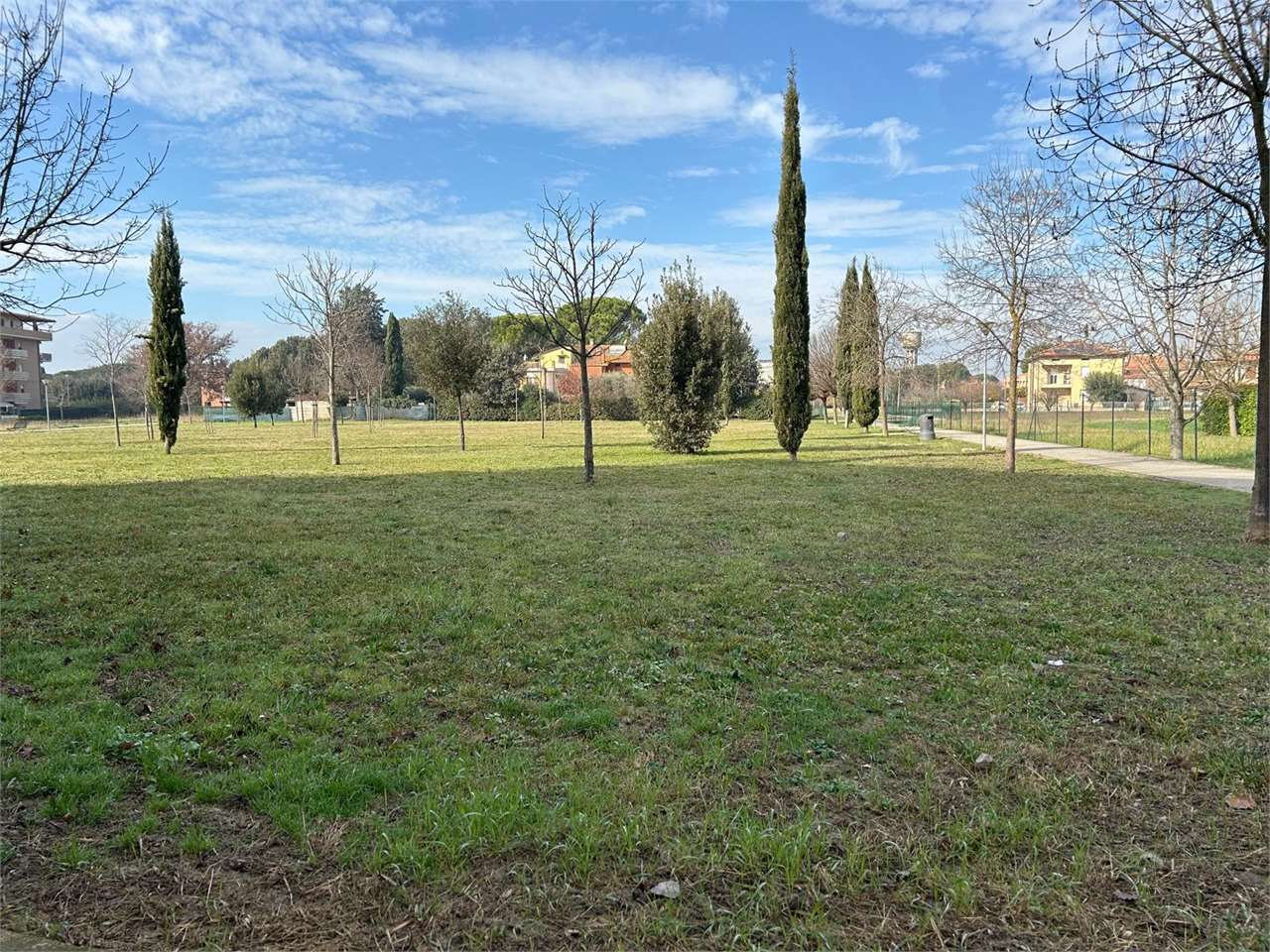 immagine annuncio 5 di 6