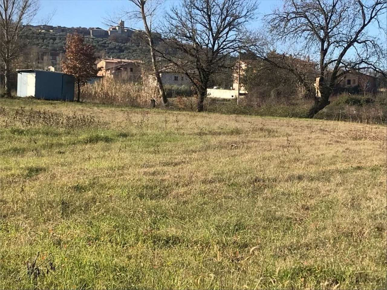 immagine annuncio 2 di 6