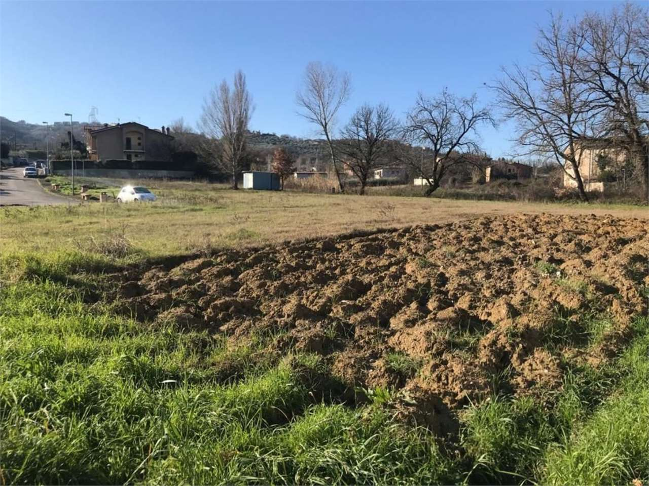 immagine annuncio 4 di 6