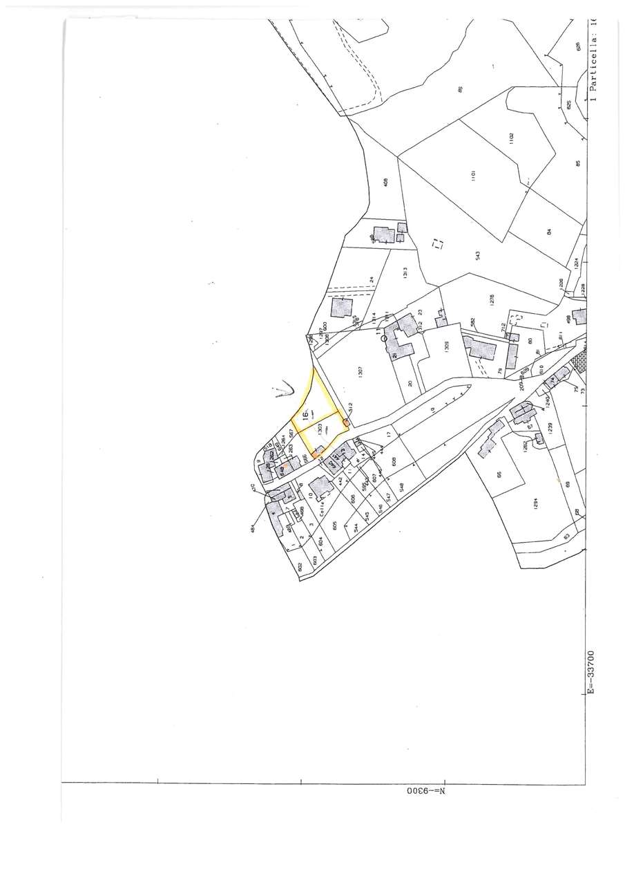 immagine annuncio 1 di 4