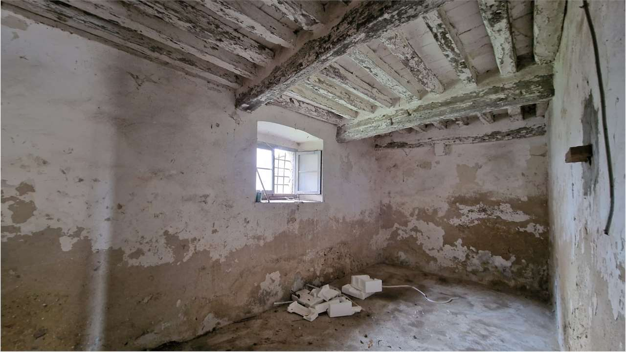 immagine annuncio 5 di 7