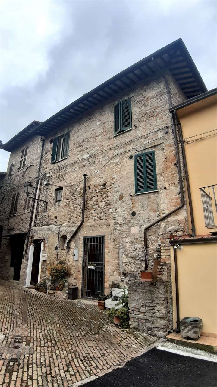 immagine annuncio 7 di 8