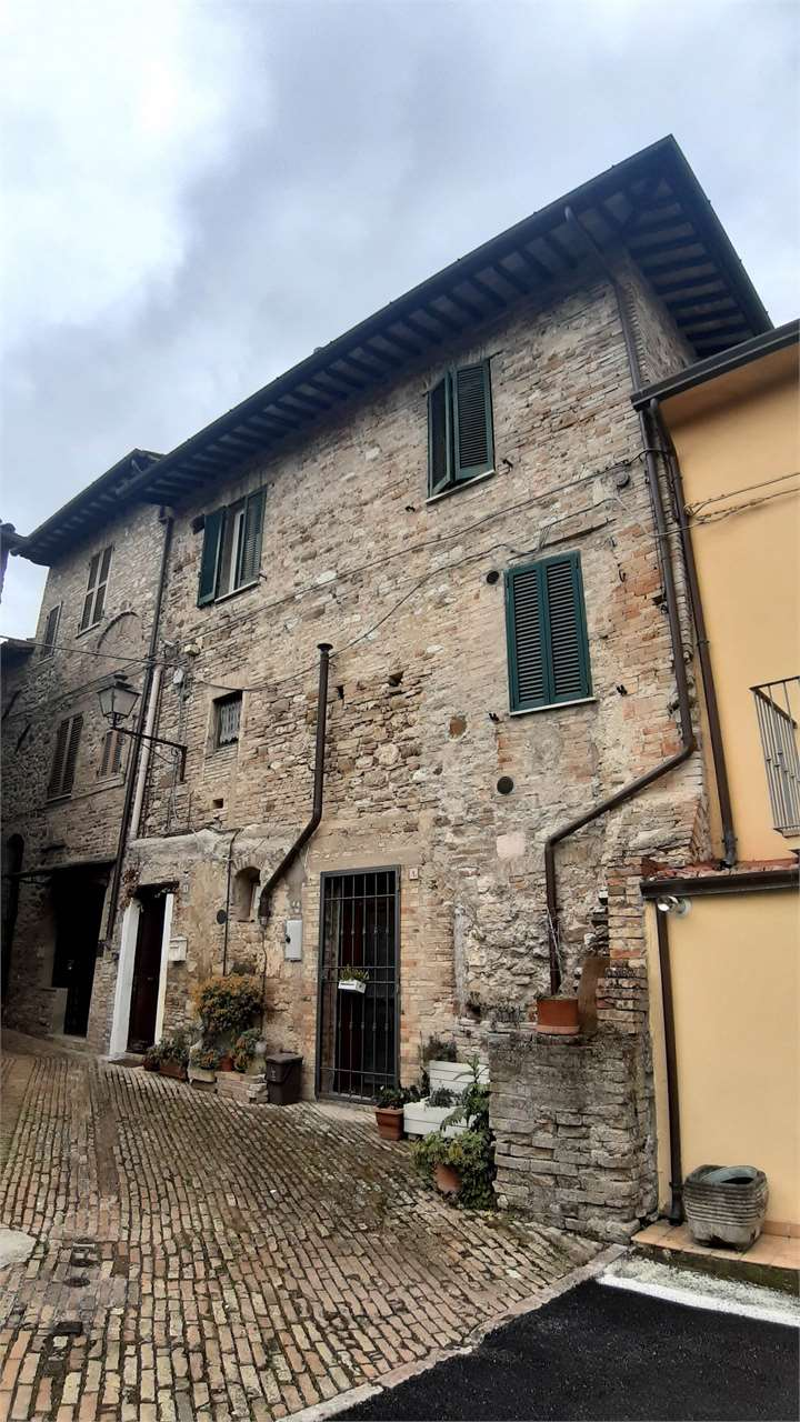 immagine annuncio 3 di 8