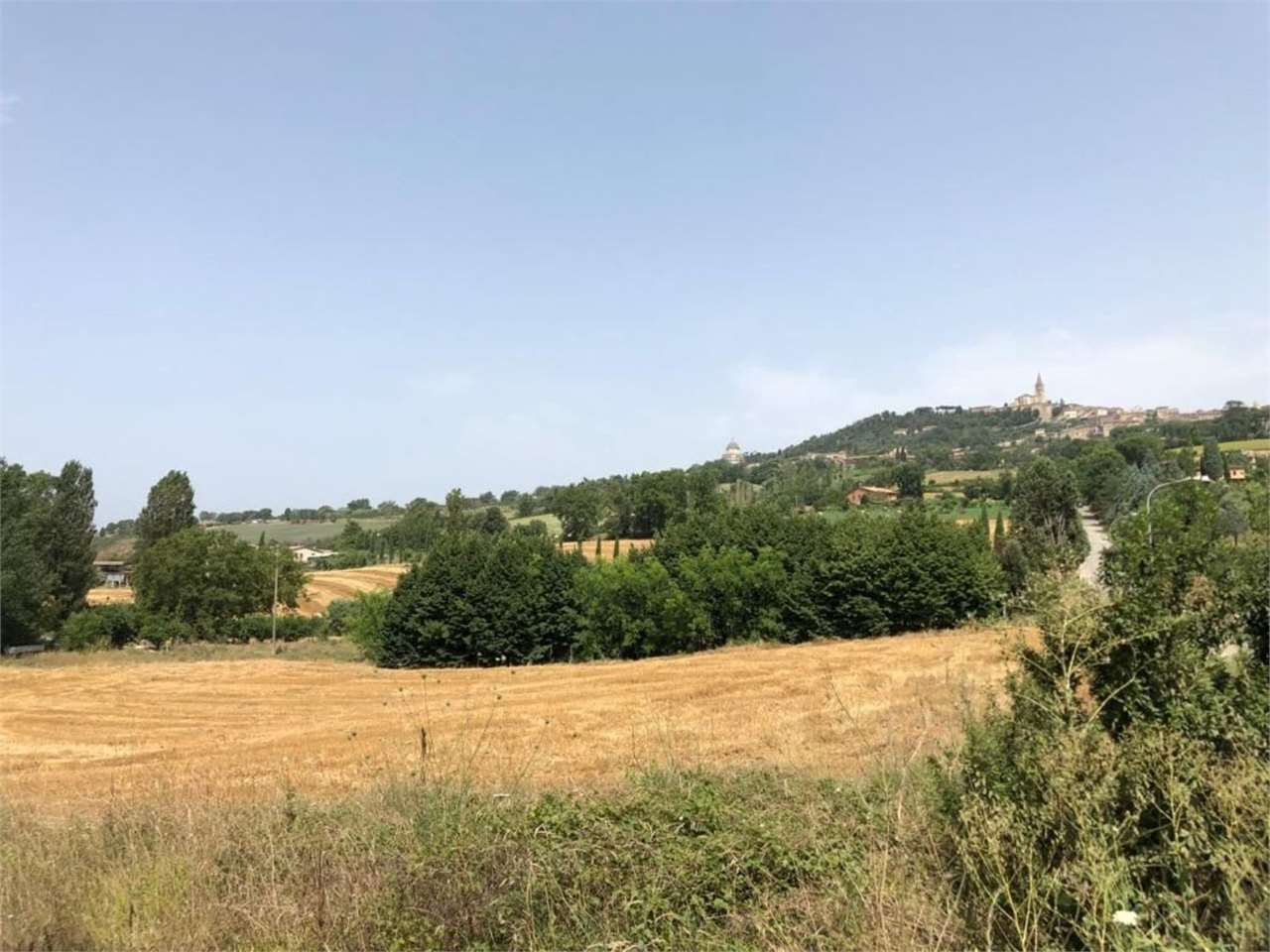 immagine annuncio 6 di 9