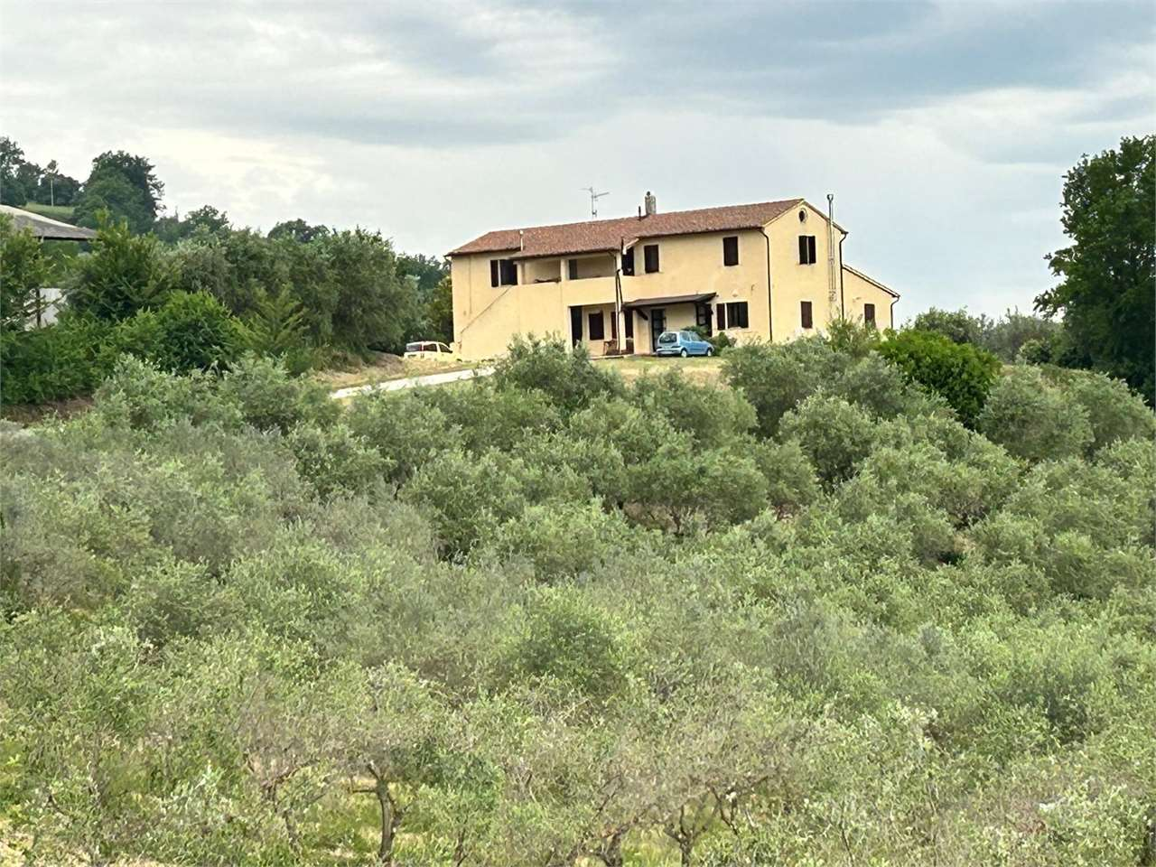 immagine annuncio 2 di 10