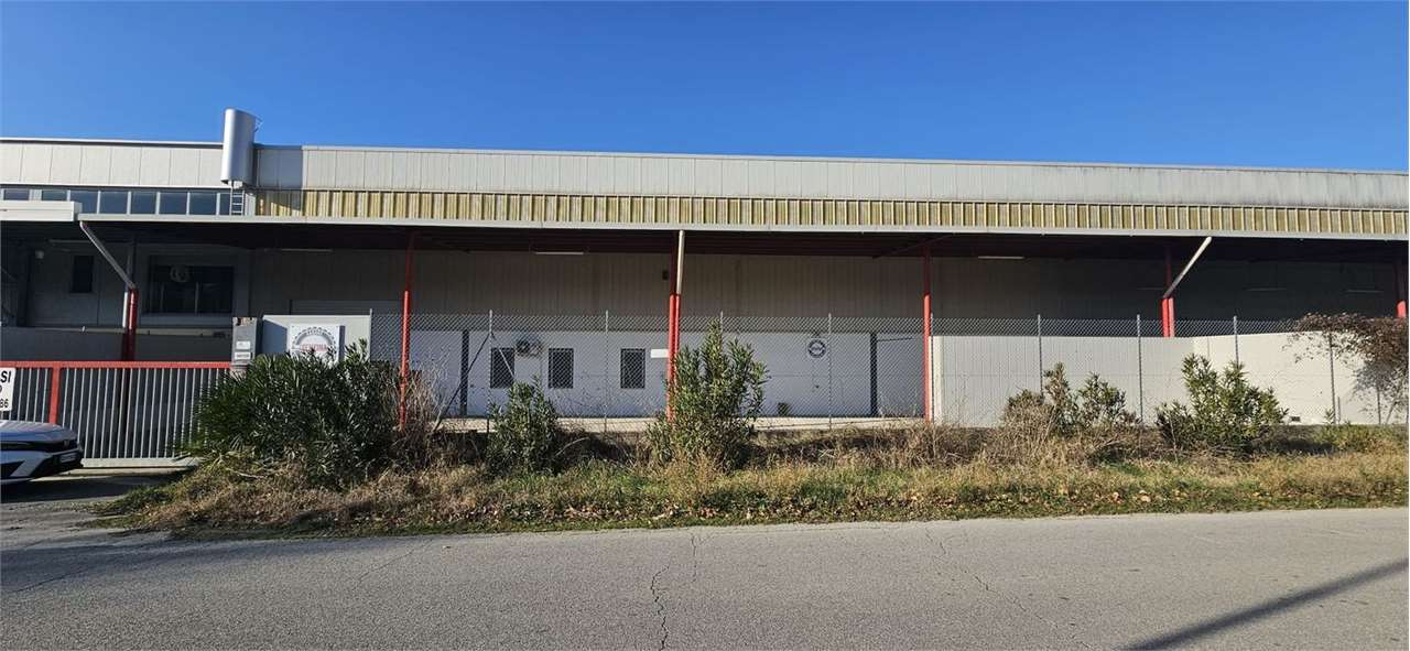 immagine annuncio 2 di 10