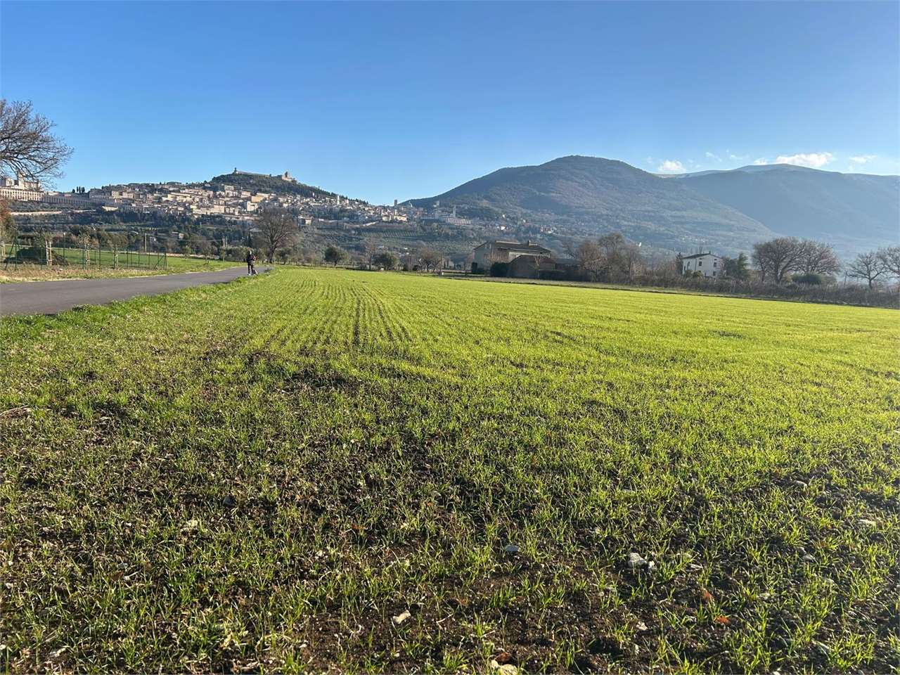 immagine annuncio 5 di 6