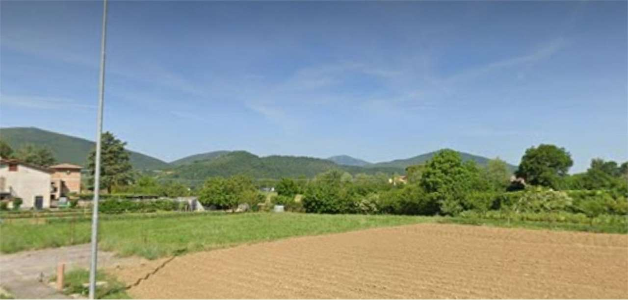 immagine annuncio 3 di 6