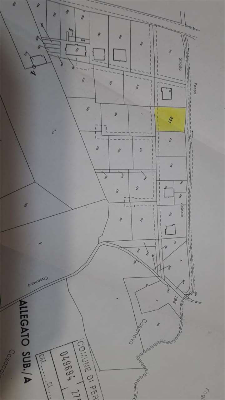 immagine annuncio 4 di 6