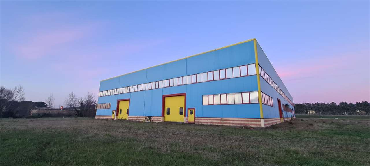 immagine annuncio 9 di 10