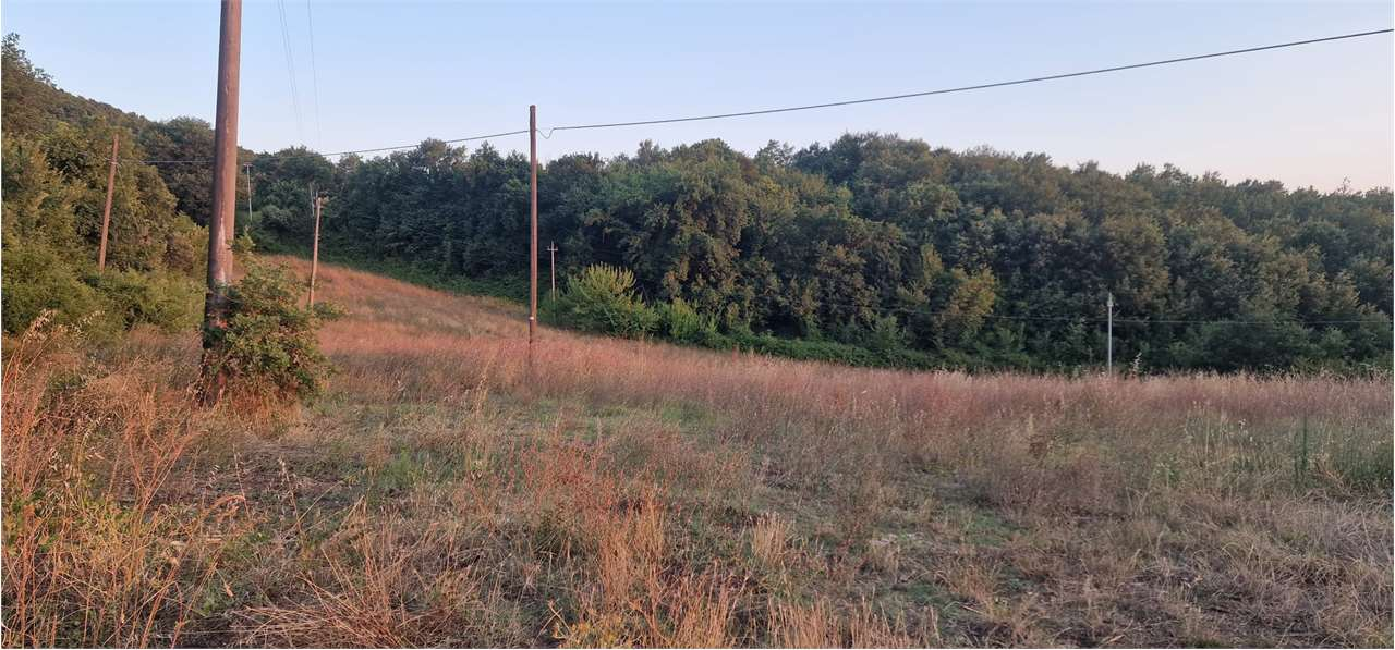 immagine annuncio 4 di 8