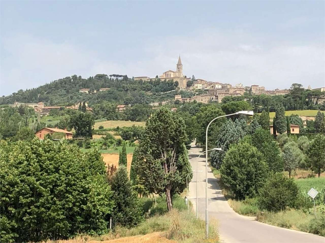 immagine annuncio 8 di 9