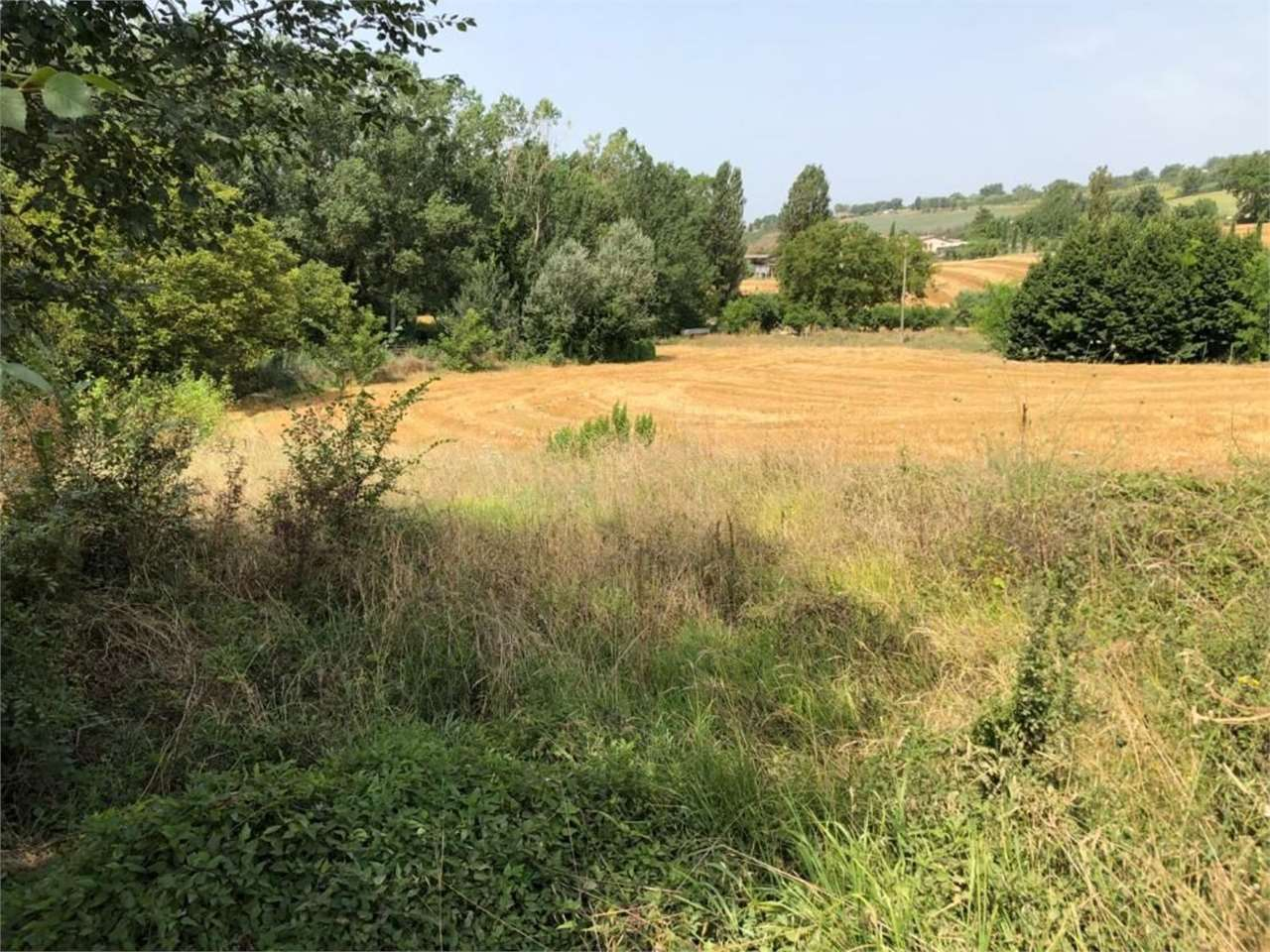 immagine annuncio 6 di 9