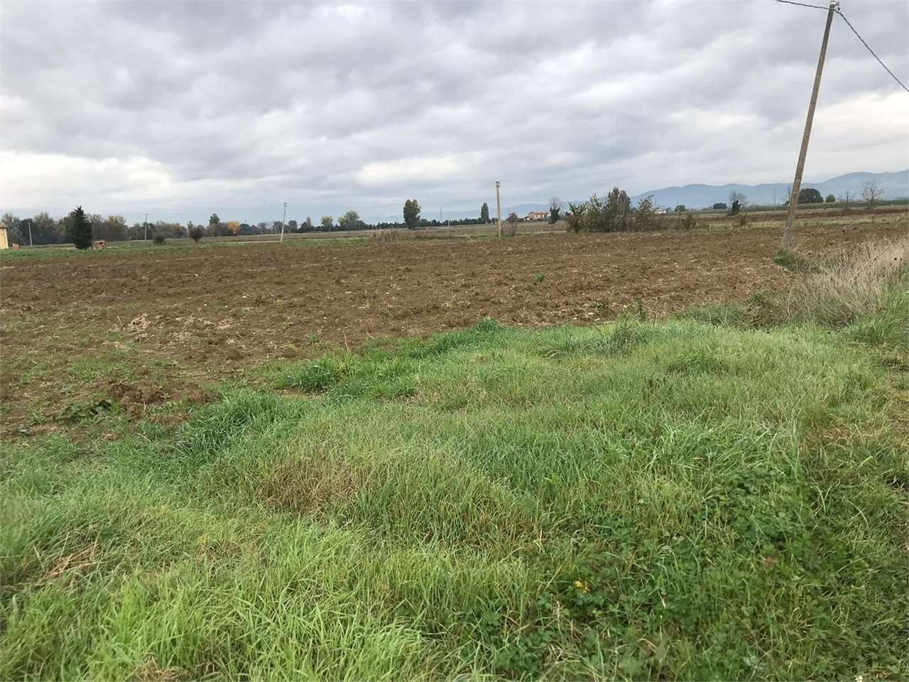 immagine annuncio 1 di 7