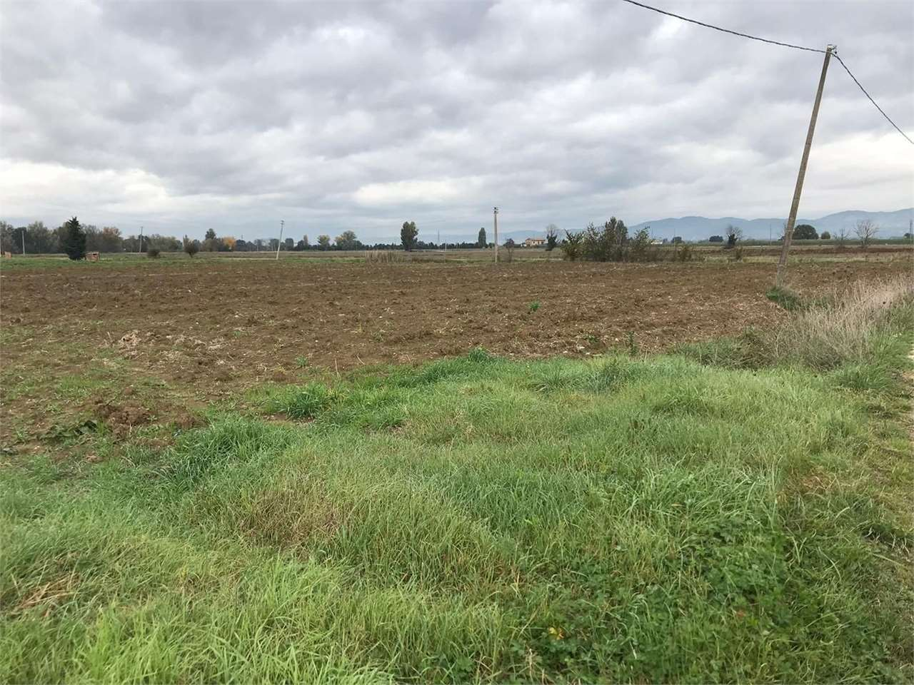 immagine annuncio 2 di 7