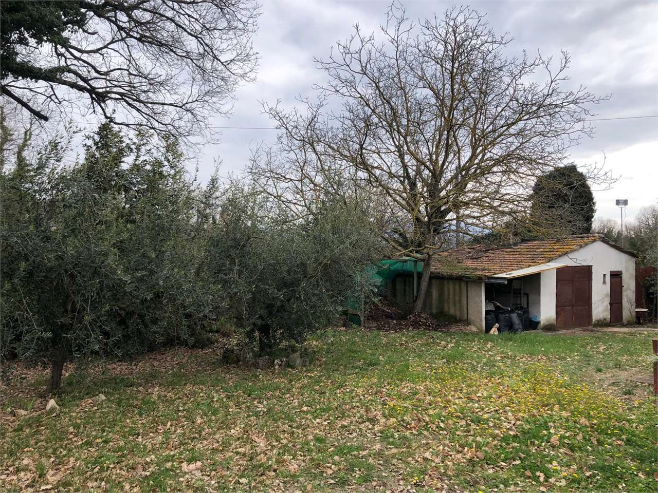 immagine annuncio 3 di 10