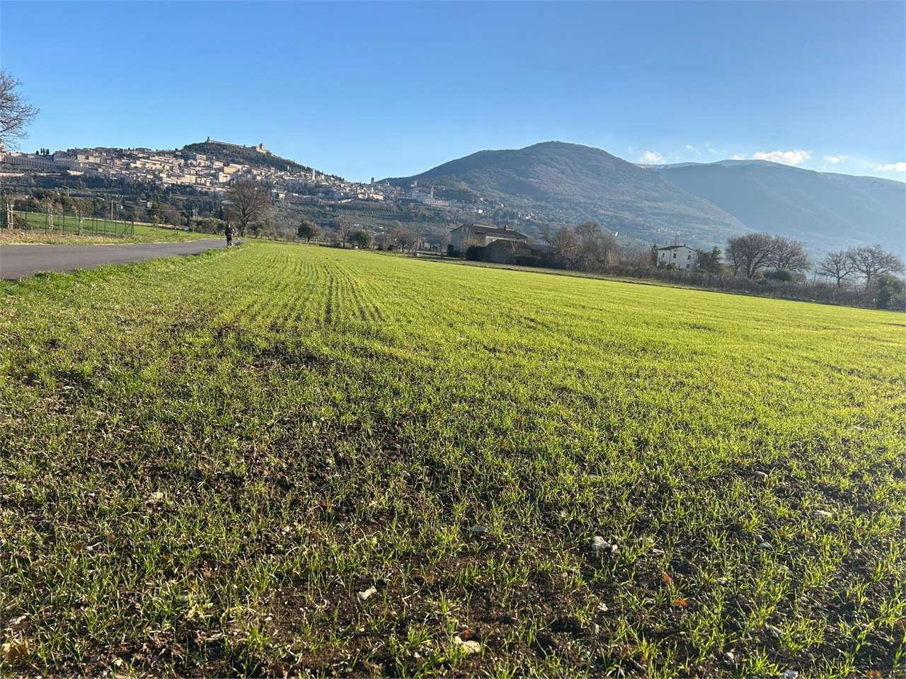 immagine annuncio 4 di 6