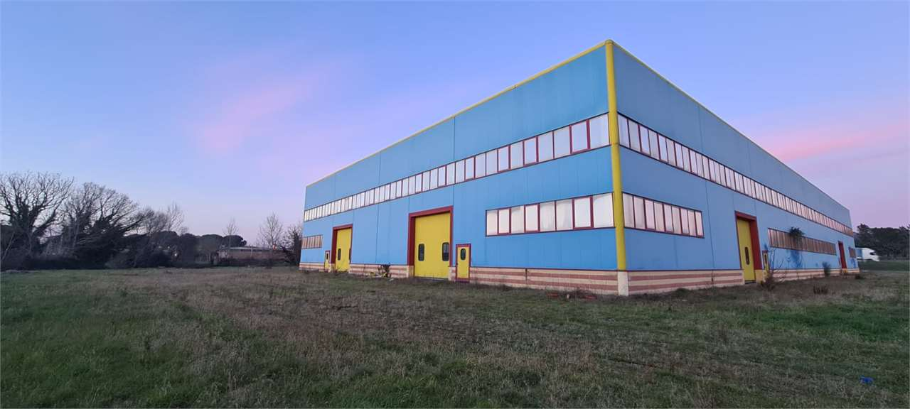 immagine annuncio 8 di 10