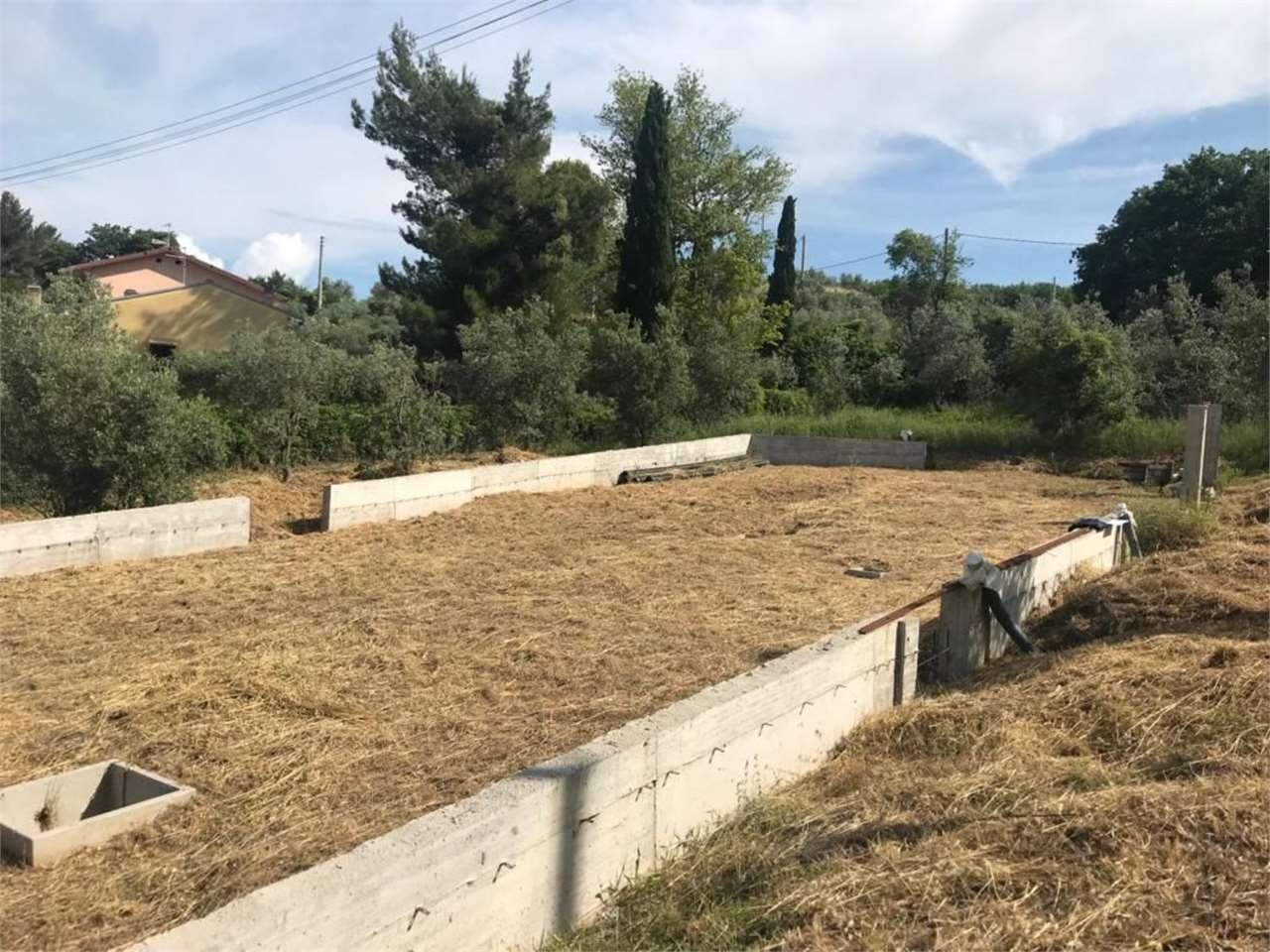 immagine annuncio 1 di 10