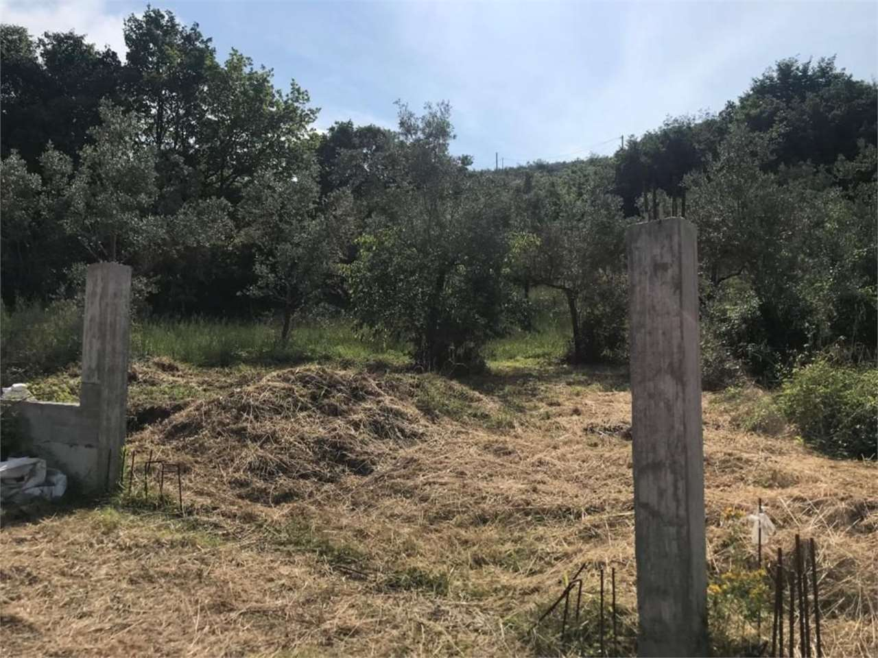 immagine annuncio 3 di 10