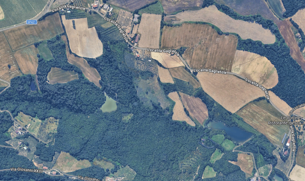 immagine annuncio 1 di 2