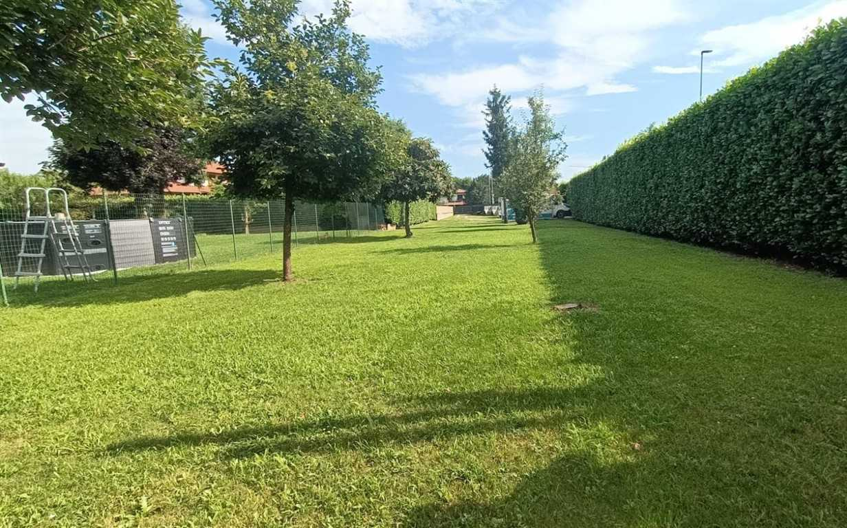 immagine annuncio 1 di 8