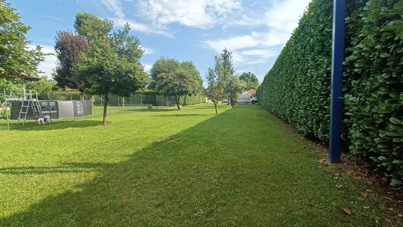 immagine annuncio 2 di 8