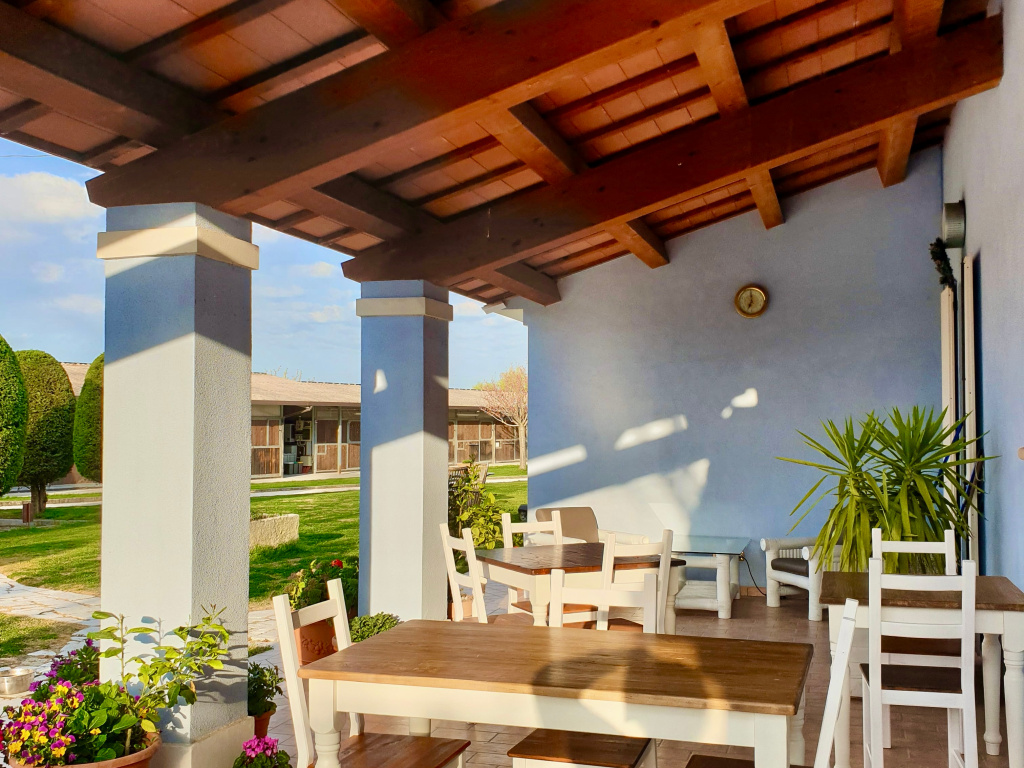 immagine annuncio 5 di 10