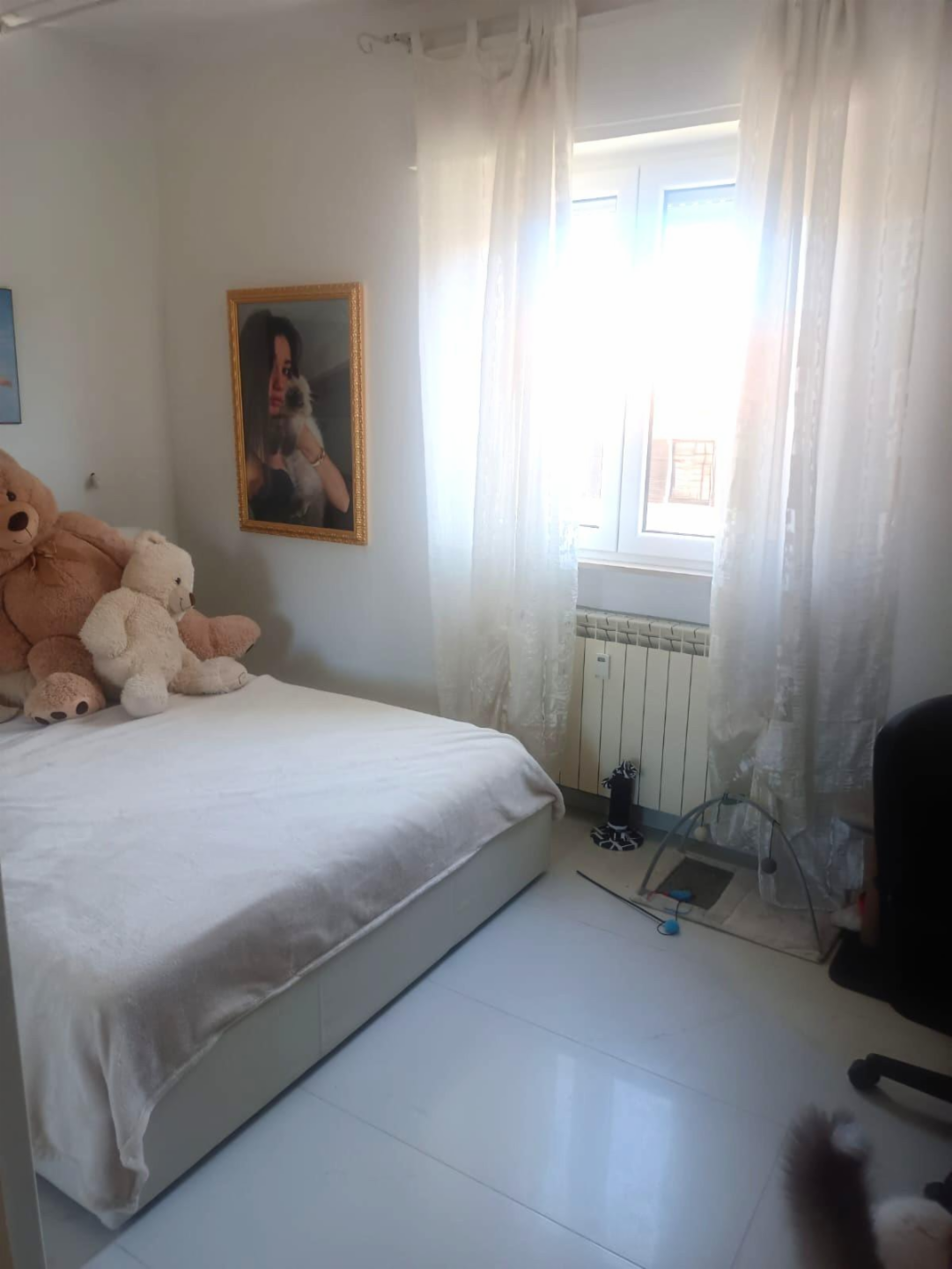 immagine annuncio 3 di 9