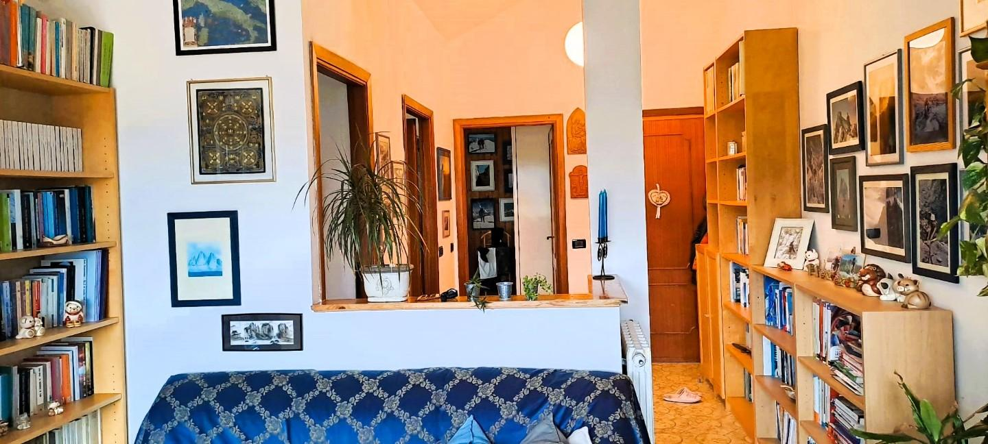 immagine annuncio 4 di 8