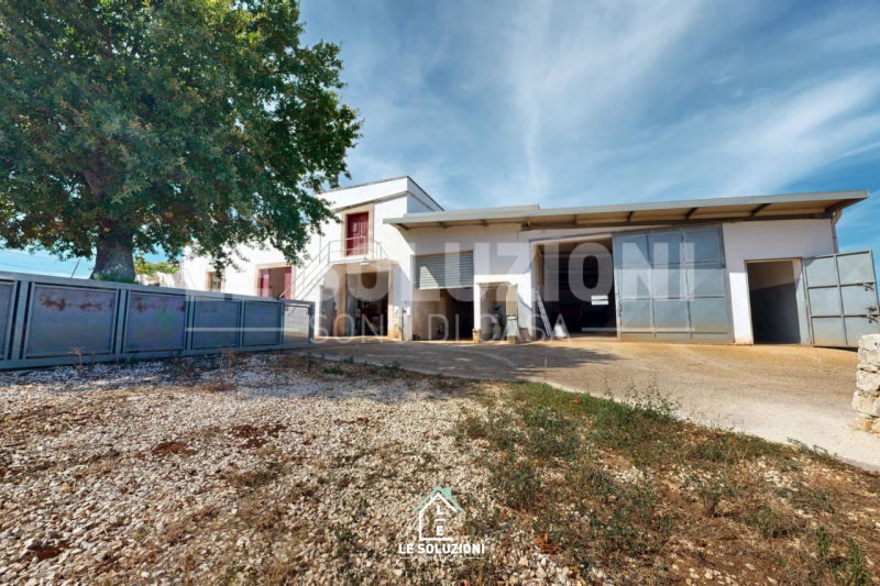 immagine annuncio 4 di 10