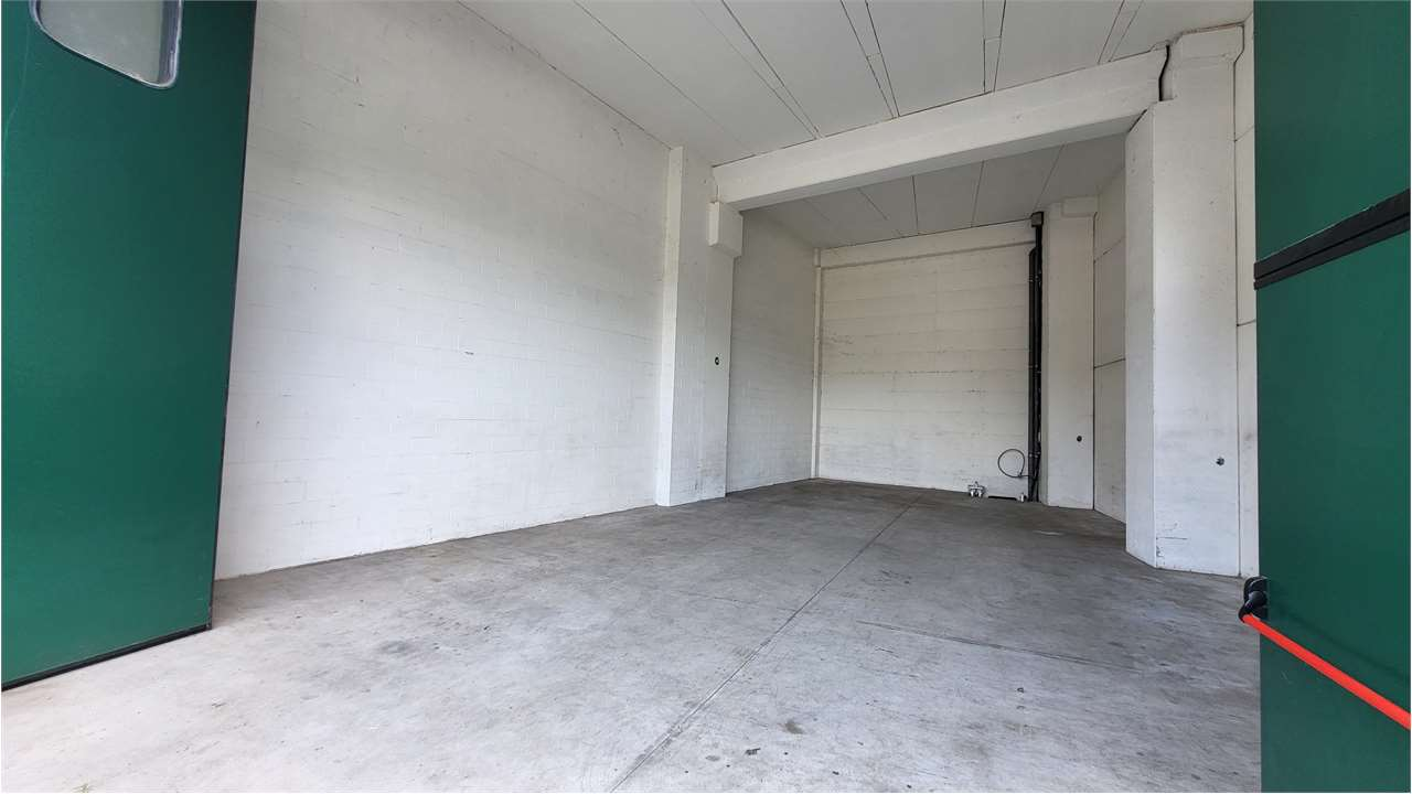 immagine annuncio 2 di 6