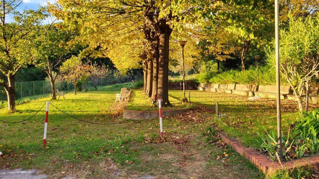 immagine annuncio 3 di 10