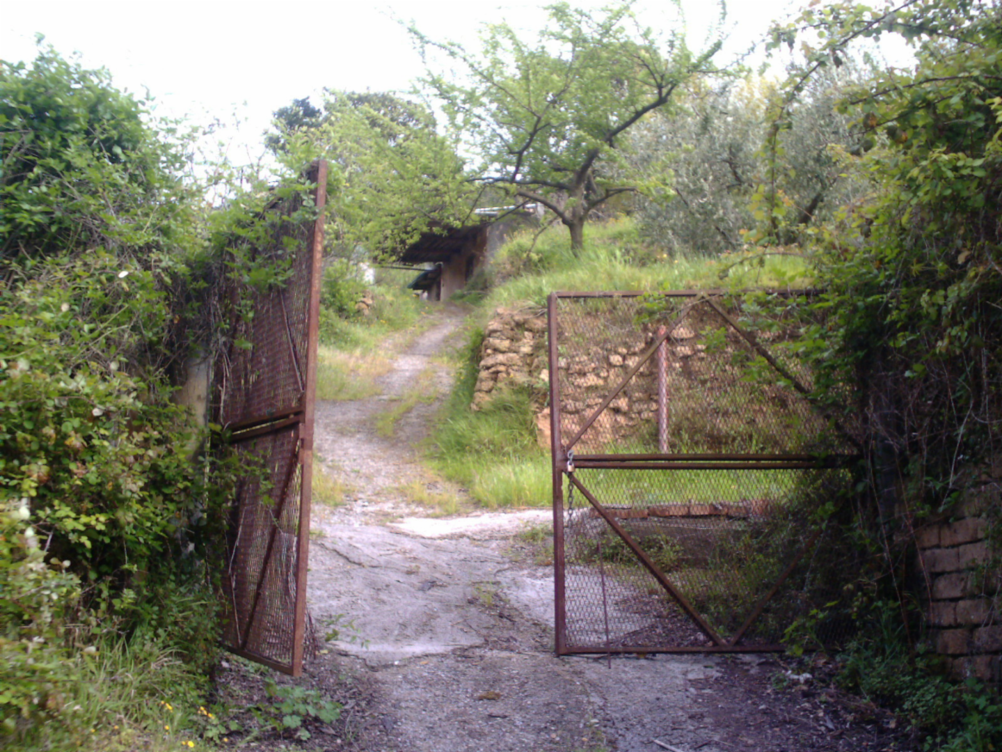 immagine annuncio 3 di 10