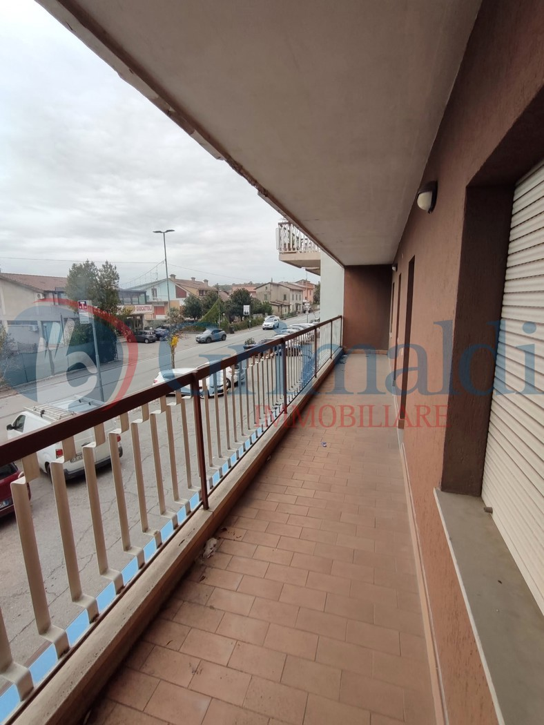 immagine annuncio 2 di 8